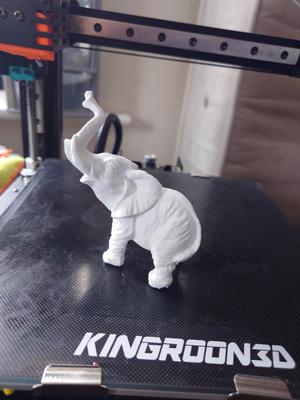 Elephant No.1