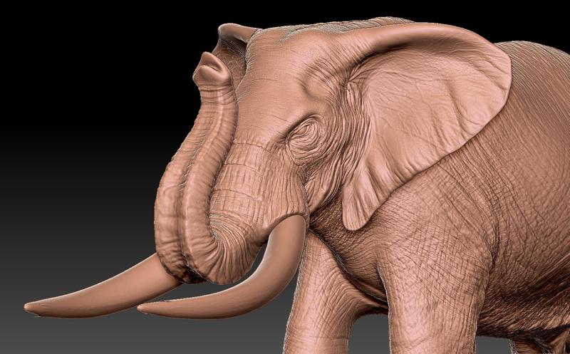 Elephant