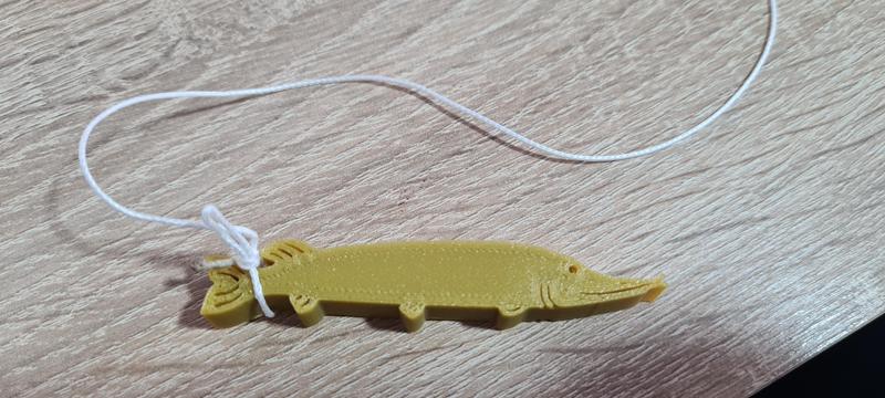 Hecht / Pike | Bissanzeiger / Bite indicator | Angeln / Fishing