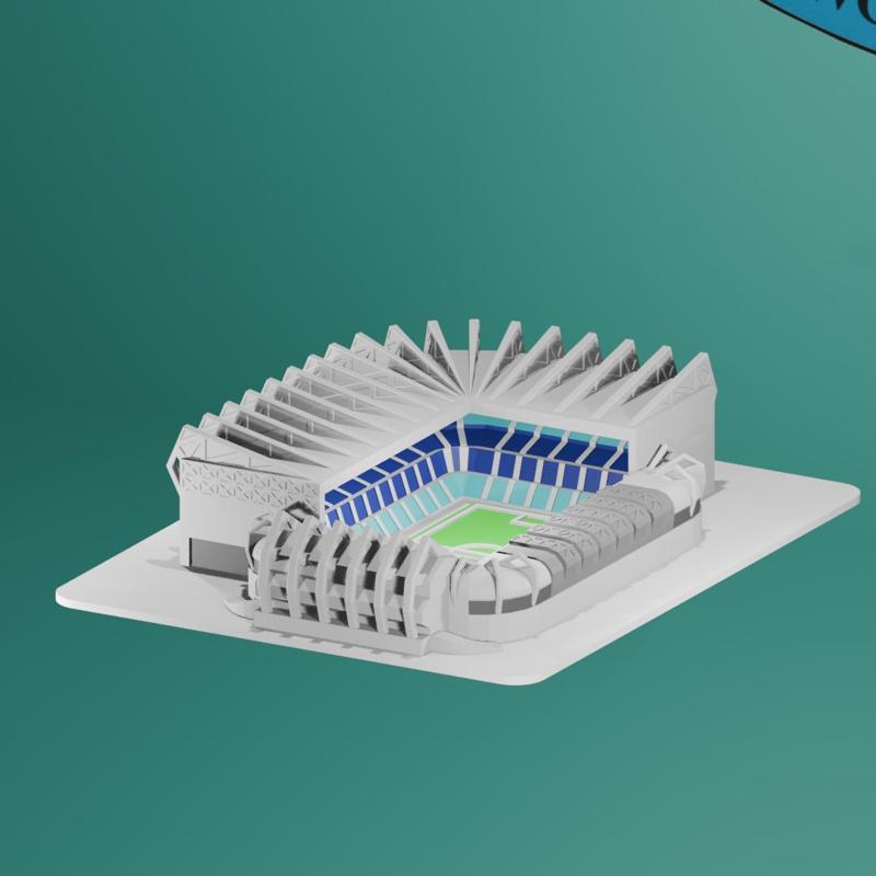 St. James park Newcastle United Football Club