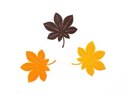Chestnut leaf