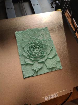Dachwurz 3D Bild