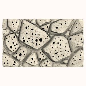 Stone Wall 208