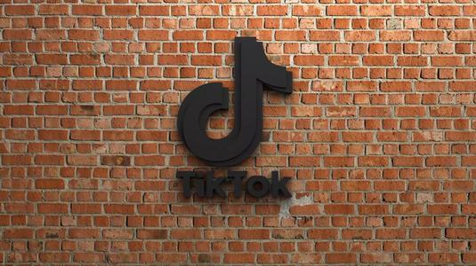 TikTok Logo