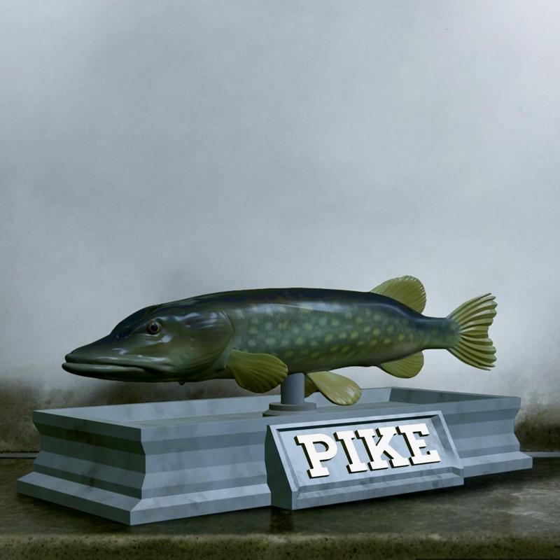 fish Northern pike / Esox lucius statue detailed texture for 3d printing