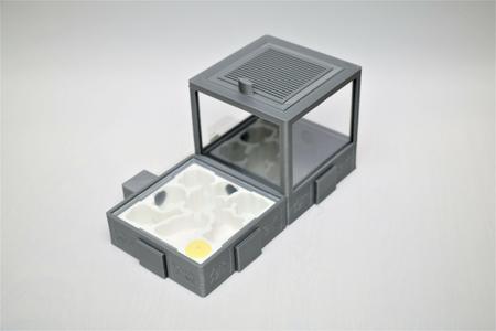 ANT FARM FORMICARIUM HORIZONTAL ANTS