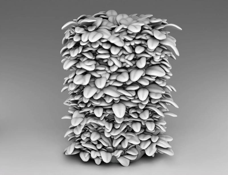 Bush and haystack