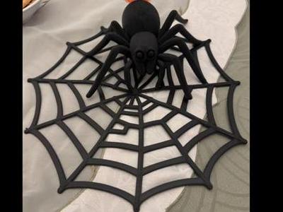 Spider on Web