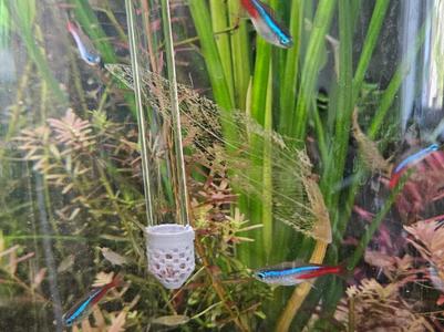 Fish Feeder for Tank / Aquarium for Tubifex, worms