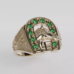 horse ring