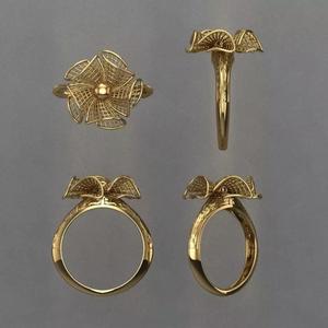 ring fiber