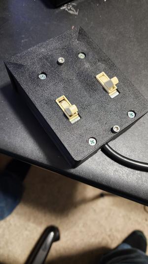 Double switch with outlet