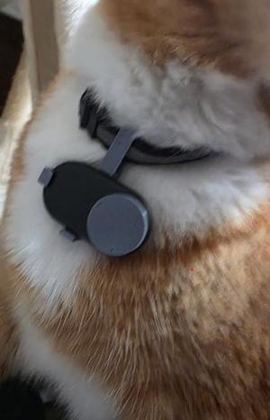 Smart Tag 2 Tag Holder