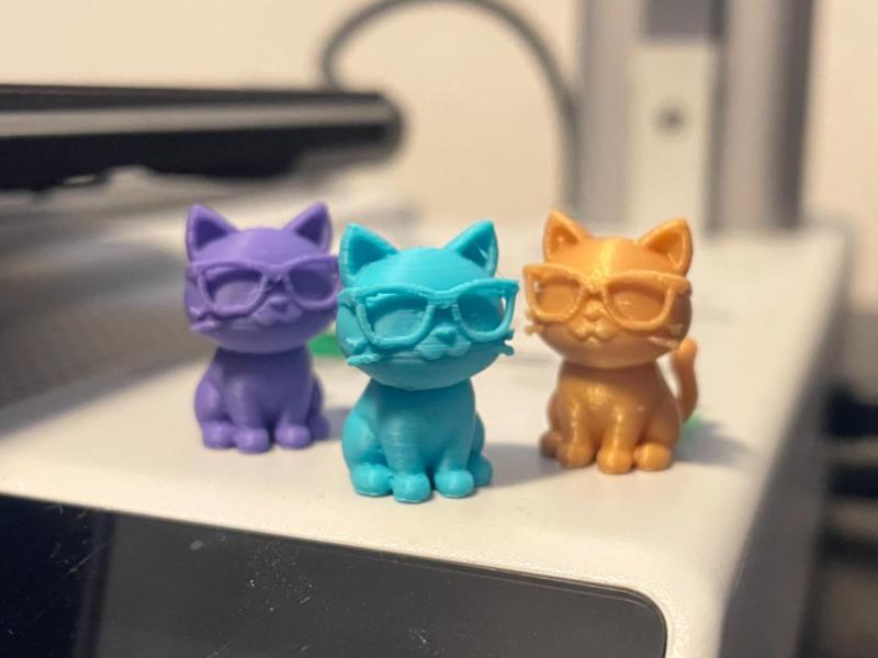Mini Cat with Sunglasses