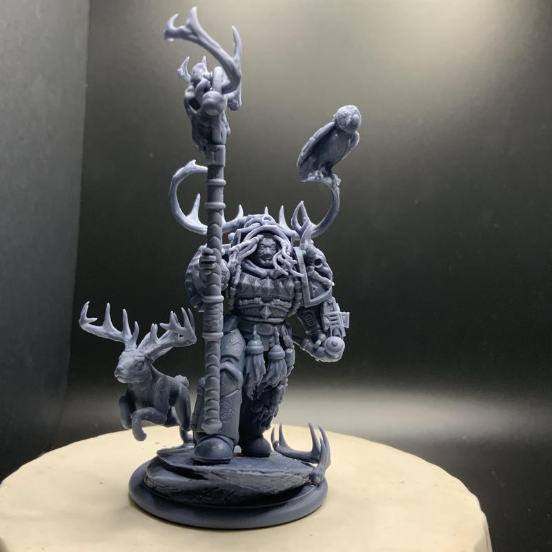 Heavy Viking champions