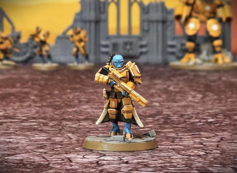 Wayfairers Confederation Captain