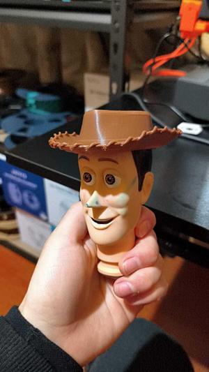 hat for woody