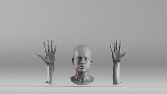 001656 3D Scan of Human Head and Hands