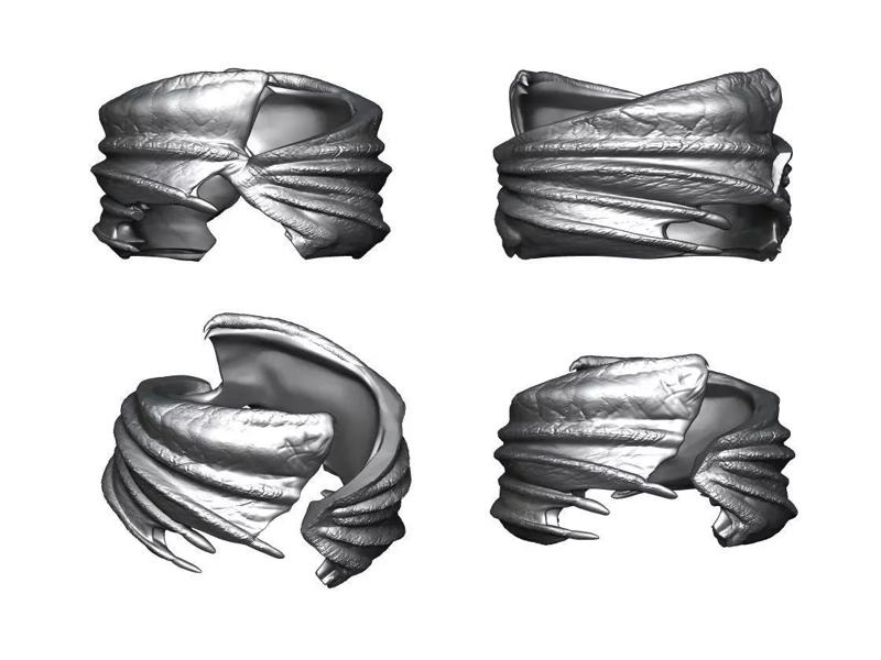 Dragon wings Ring