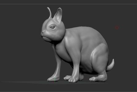 Rabbit