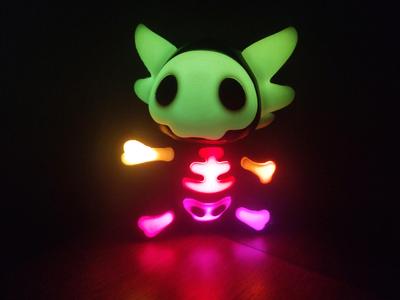 Axolotl Skull