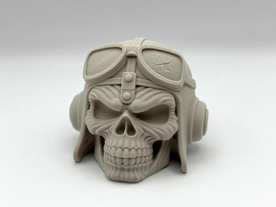 Pilot Skull Decor