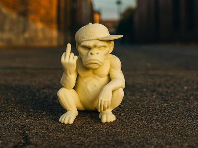 The Cheeky Monkey – Cool & Provocative Middle Finger
