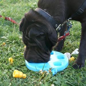 Dog's game