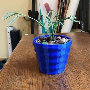 Cactus or succulent pot