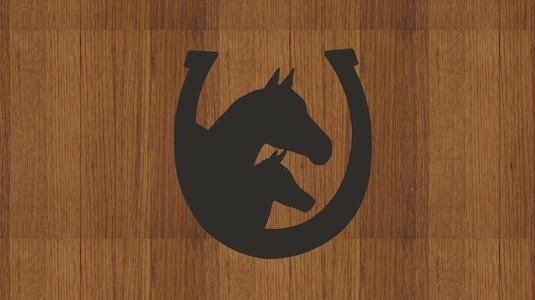 WALL DECORATION HORSE