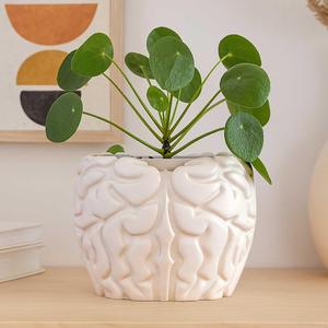 Brain Plant Pot with Drainage