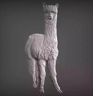 Alpaca relief