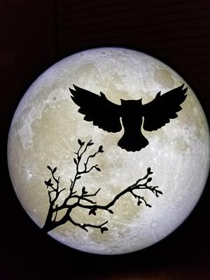 Owl in flight silhouetted by moon lithophane