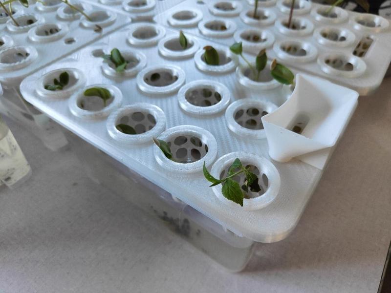 Complete Hydroponics Kit