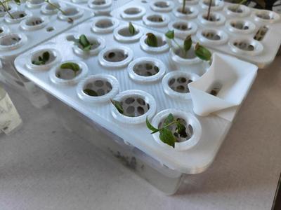 Complete Hydroponics Kit