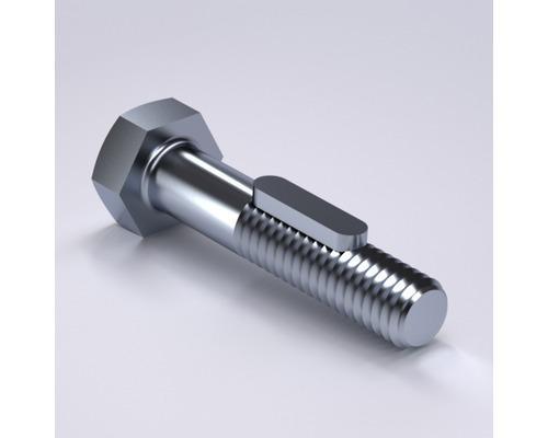 Special Screw 895