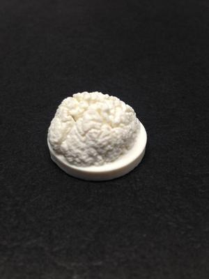 Pinypon Brain