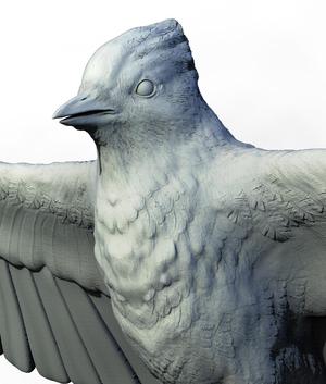 Blue Jay Songbird of the Forest Skies