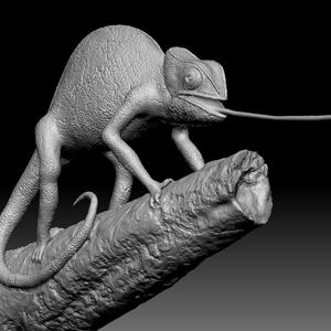 Chameleon 030
