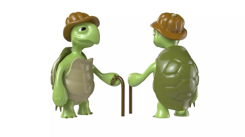 Cartoon Turtle