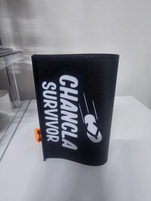 Chancla Survivor  Novelty Car Tag