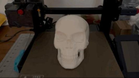 Skull with Light
