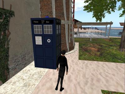 Tardis door closed not for print for 3d social worlds