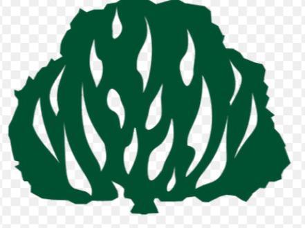 Presbyterian Burning Bush