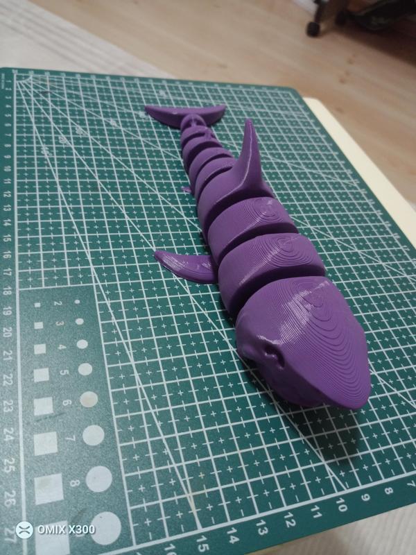Hareketli köpek balığı (shark)