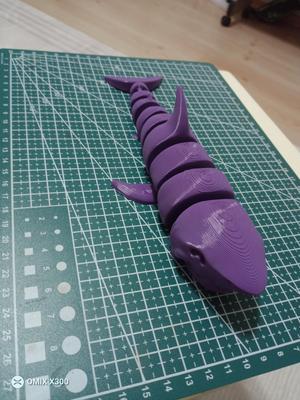 Hareketli köpek balığı (shark)