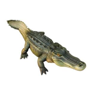 Realistic Alligator