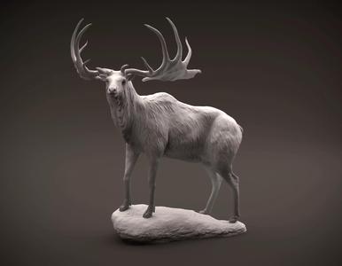 Megaloceros giganteus or Irish Elk intended for 3D printing