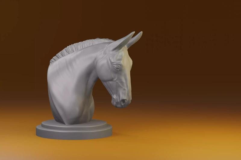 Mule Equidae Equus  donkey bust for printing