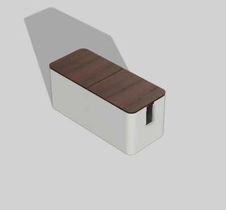 Electric shoe storage box